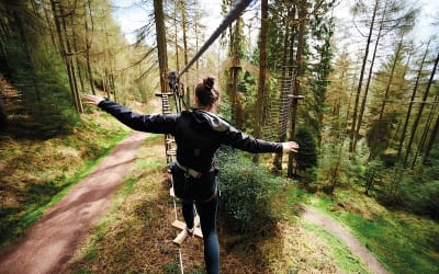 Go Ape Whinlatter