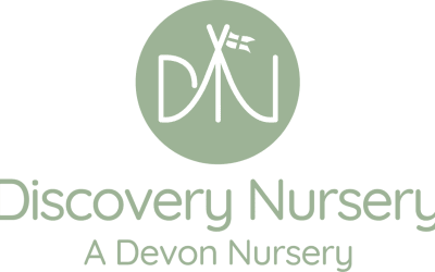 Discovery Nursery