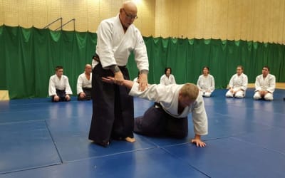Prince Bishops Aikido