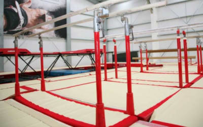 Colchester School of Gymnastics