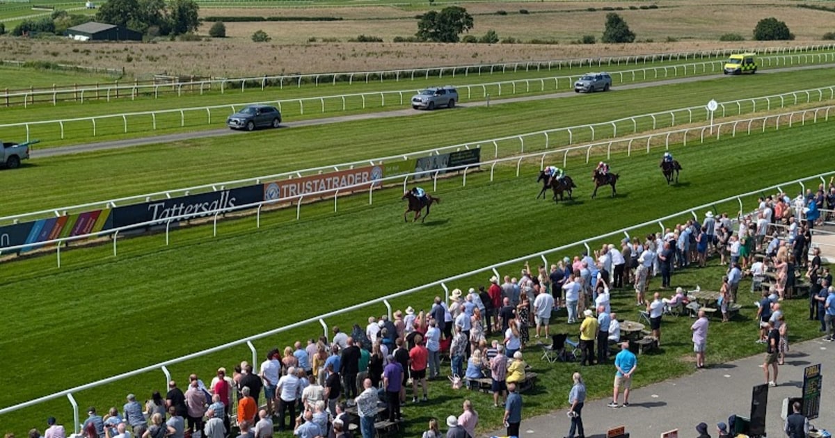 Carlisle Racecourse - After School Club in Carlisle