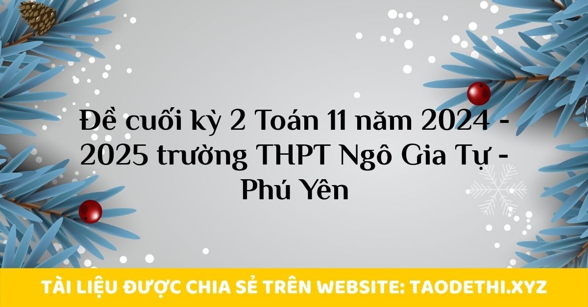 Đề cuối kỳ 2 Toán 11 năm 2024 - 2025 trường THPT Ngô Gia Tự - Phú Yên