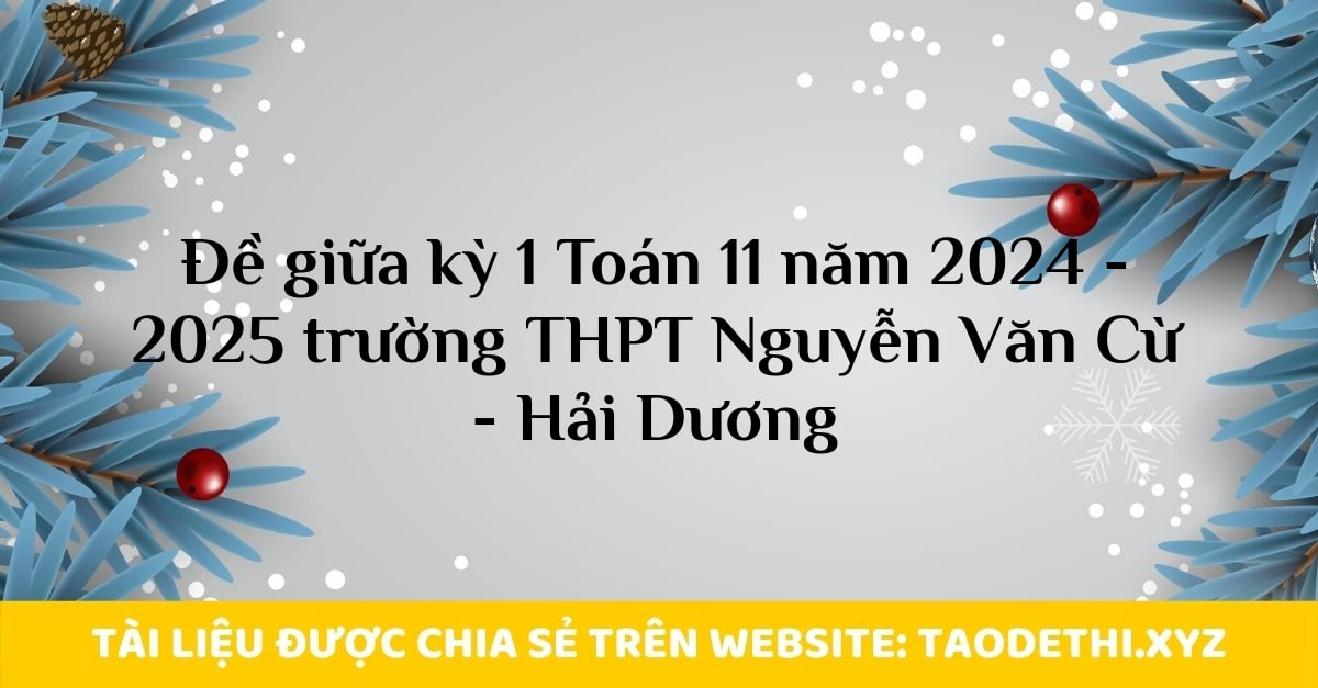 Đề giữa kỳ 1 Toán 11 năm 2024 - 2025 trường THPT Nguyễn Văn Cừ - Hải Dương