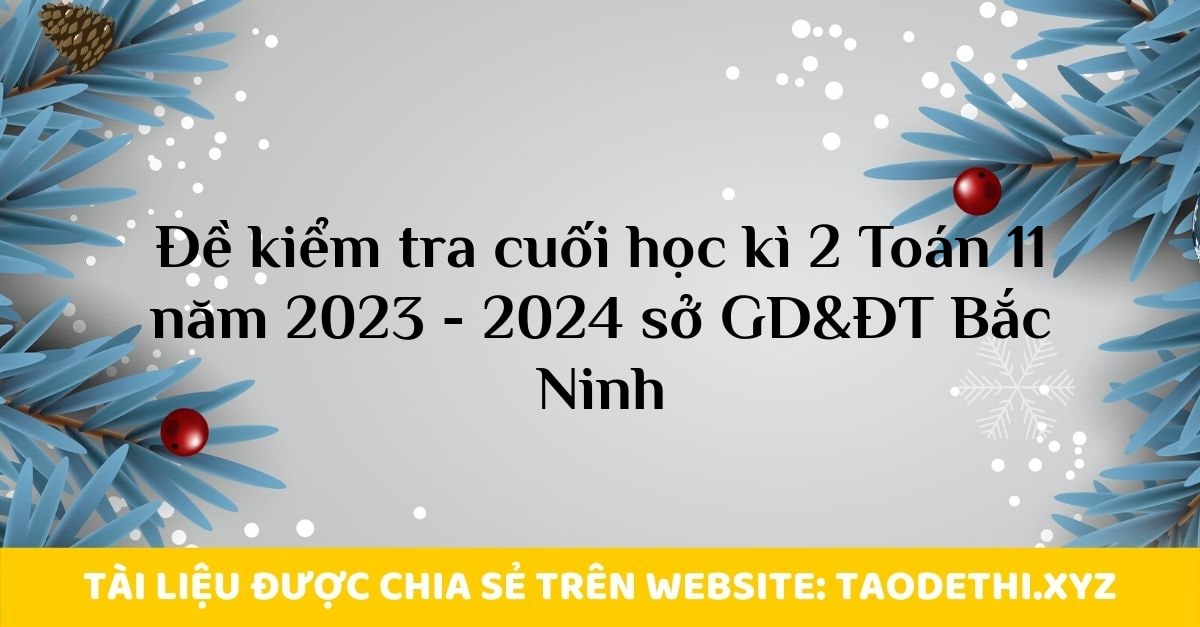 Đề kiểm tra cuối học kì 2 Toán 11 năm 2023 - 2024 sở GD&ĐT Bắc Ninh