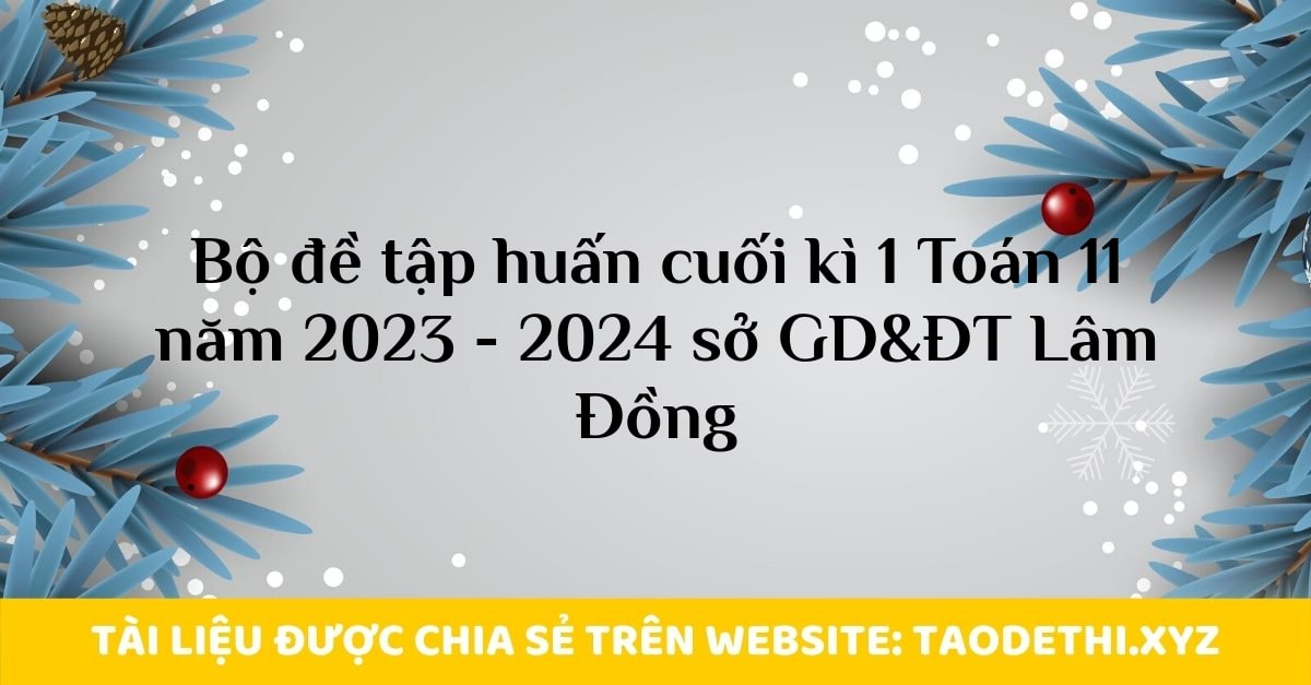 Bộ đề tập huấn cuối kì 1 Toán 11 năm 2023 - 2024 sở GD&ĐT Lâm Đồng