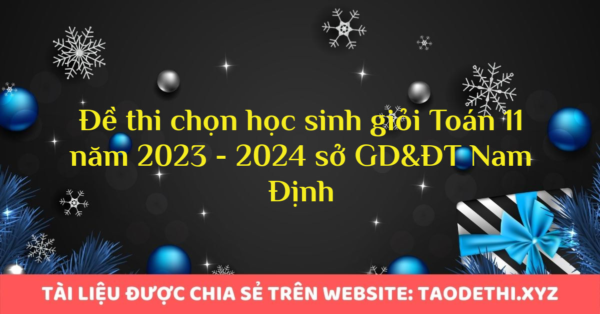 Đề thi chọn học sinh giỏi Toán 11 năm 2023 - 2024 sở GD&ĐT Nam Định