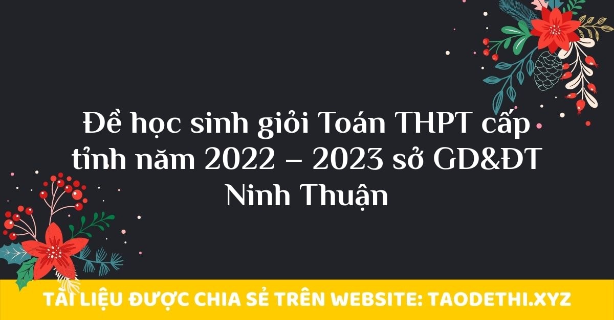 Đề học sinh giỏi Toán THPT cấp tỉnh năm 2022 – 2023 sở GD&ĐT Ninh Thuận