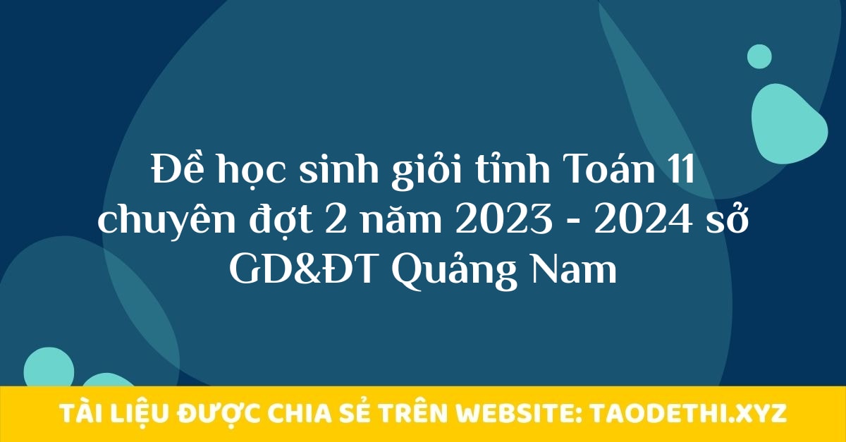 Đề học sinh giỏi tỉnh Toán 11 chuyên đợt 2 năm 2023 - 2024 sở GD&ĐT Quảng Nam