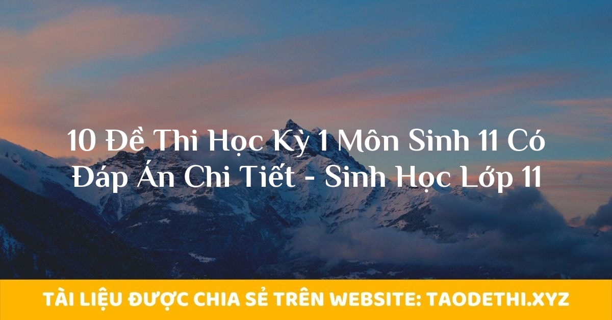 10 Đề Thi Học Kỳ 1 Môn Sinh 11 Có Đáp Án Chi Tiết - Sinh Học Lớp 11