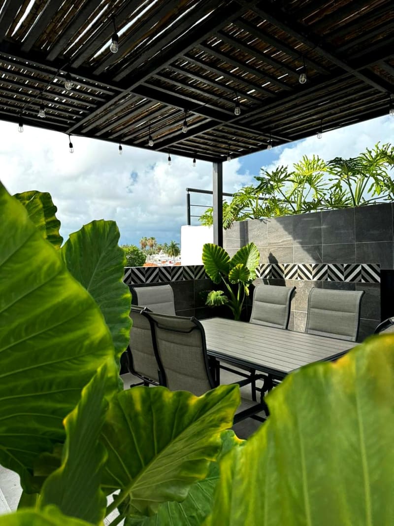 Shaded pergola with outdoor dining table and tropical plants