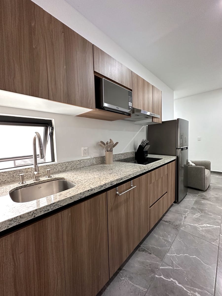 Kitchen with granite counter, induction cooktop and stainless fridge