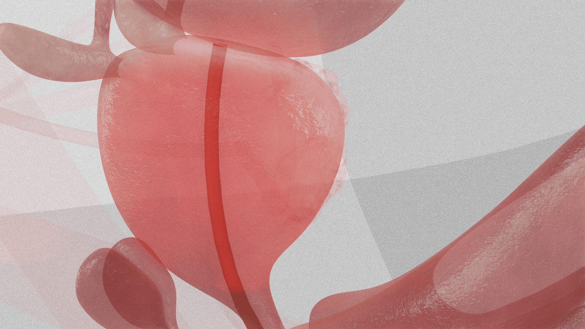 images0158