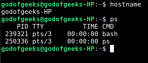 host output