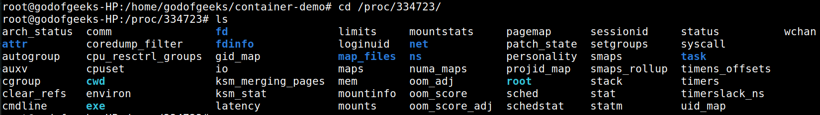 inside proc/ of bash shell process