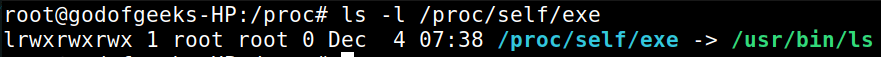 output of ls -l /proc/self/exe