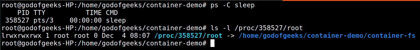 prove that host can see the root of container as the container-fs