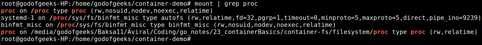 host does not show the container mount now
