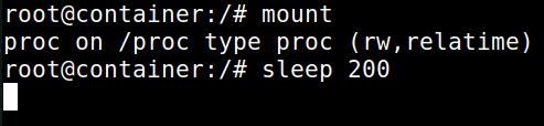 ran sleep 200 on container