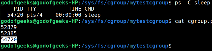 control group controls that pid