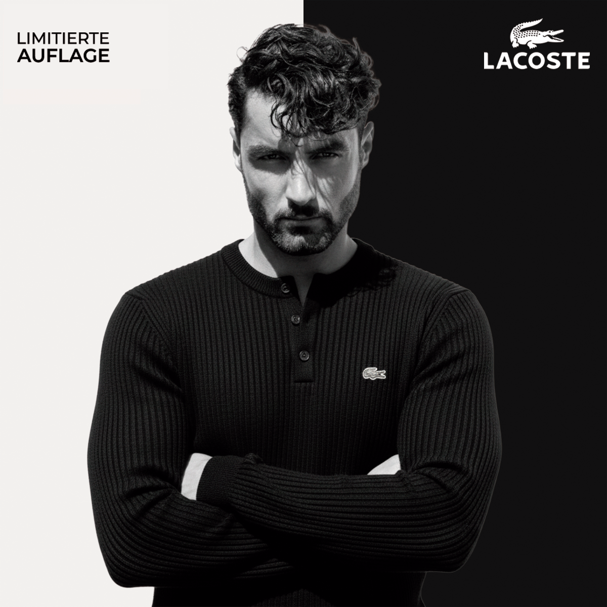 Raffinierter Premium-Pullover — Strickdetails und Henley-Knöpfe