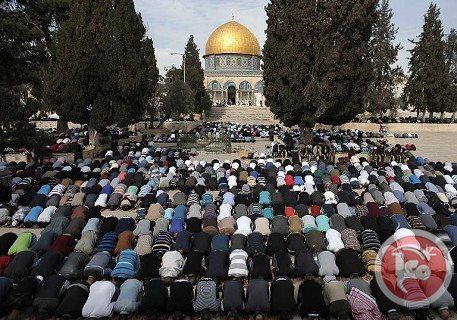 Demi Shalat di Masjid Aqsa, Pemuda Palestina Rela Panjat Tembok!