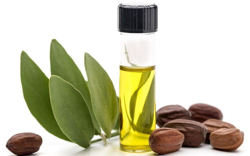 Mengenal Khasiat Jojoba Oil, Kandungan dalam Skin Care Yang Bisa Bikin Awet Muda