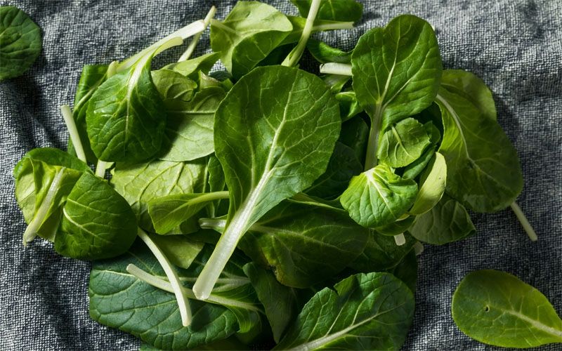 Menghaluskan Kulit Hingga Meningkatkan Imunitas, Ini 7 Manfaat Sayuran Pakcoy