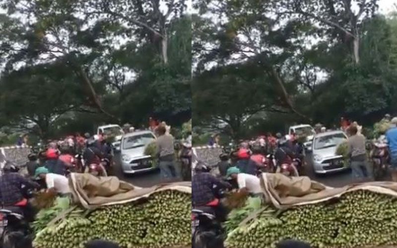 Tak Laku Dijual, Petani di Malang Bagikan Sayuran Secara Gratis