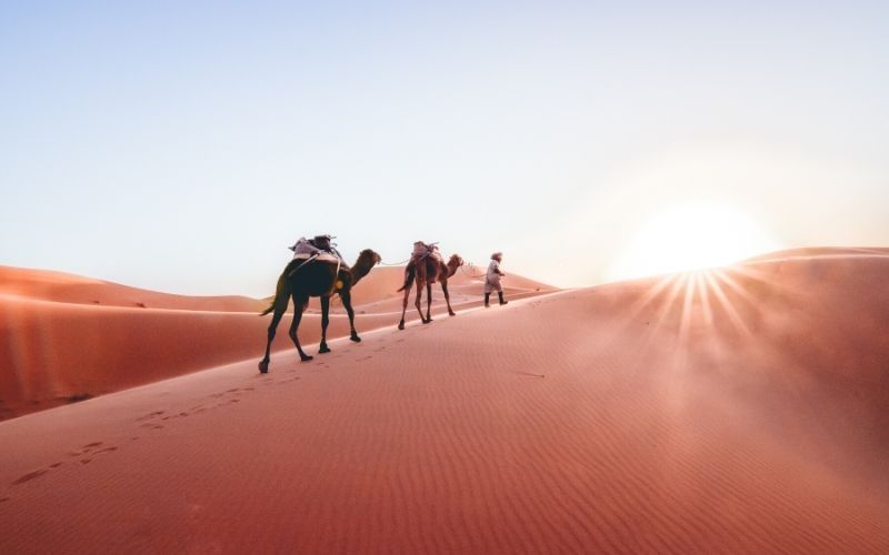 Kisah Malaikat Harut dan Marut yang Mengajarkan Sihir