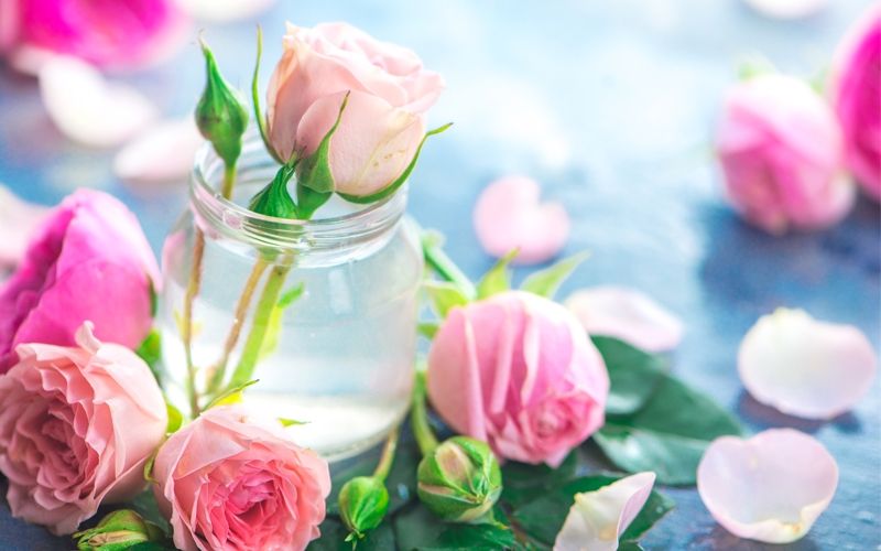 Mudah dan Murah, Ini 5 Cara Memanfaatkan Air Mawar