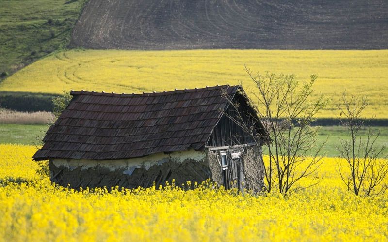 Meneladani Kehidupan Ali dan Fatimah, Keberkahaan di Tengah Kesulitan