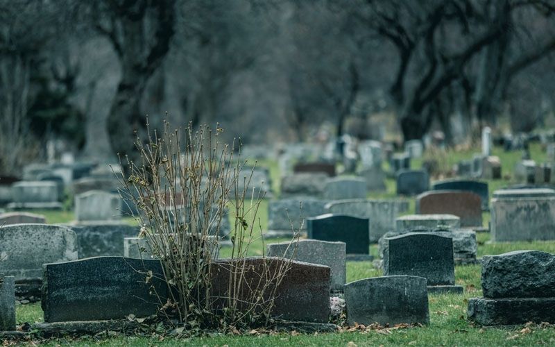 3 Nabi yang Memiliki Mukjizat Bisa Menghidupkan Makhluk yang Sudah Mati