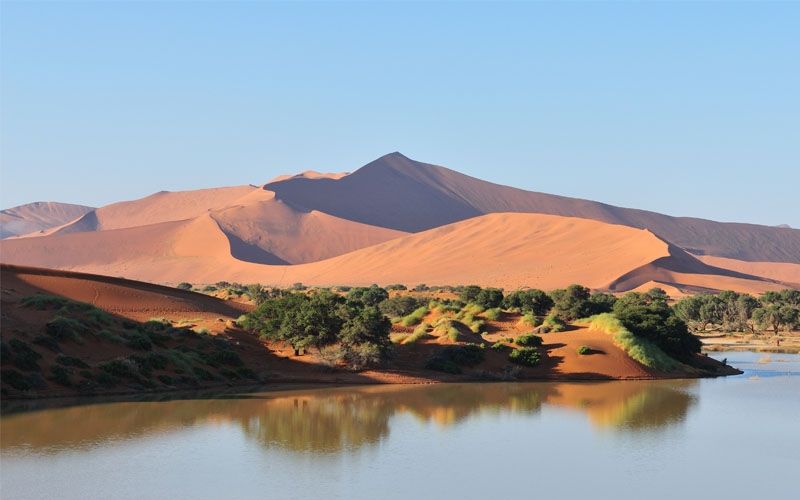 Meneladani Abdurrahman bin ‘Auf, Sahabat Nabi Paling Kaya yang Gemar Bersedekah