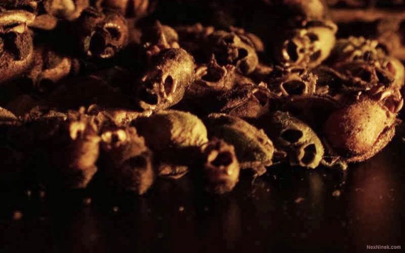 Kisah Ahli Ibadah 220 Tahun yang Meninggal dalam Keadaan Musyrik