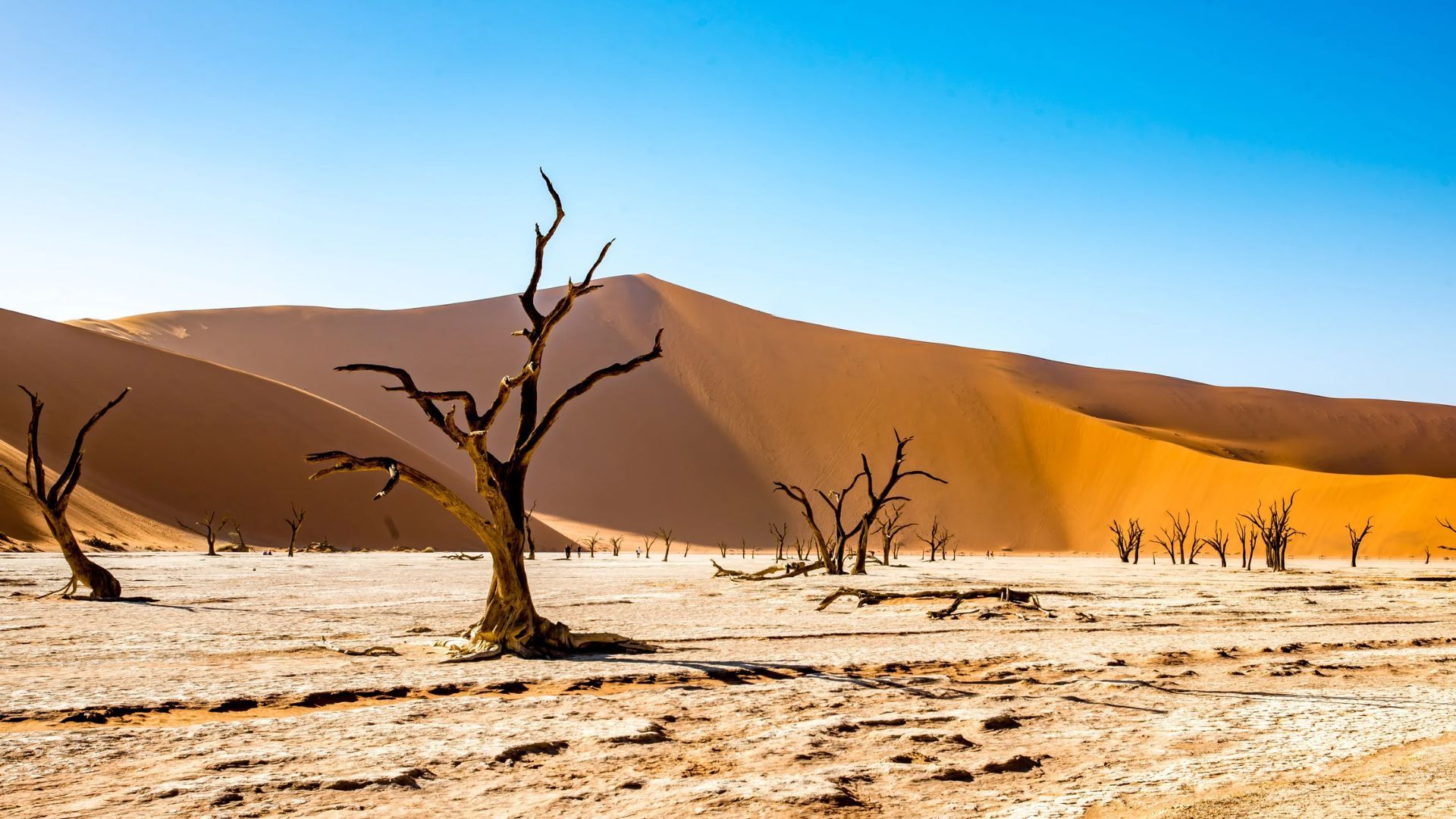 Kisah Nabi Uzair dan Keledainya yang Tertidur 100 Tahun