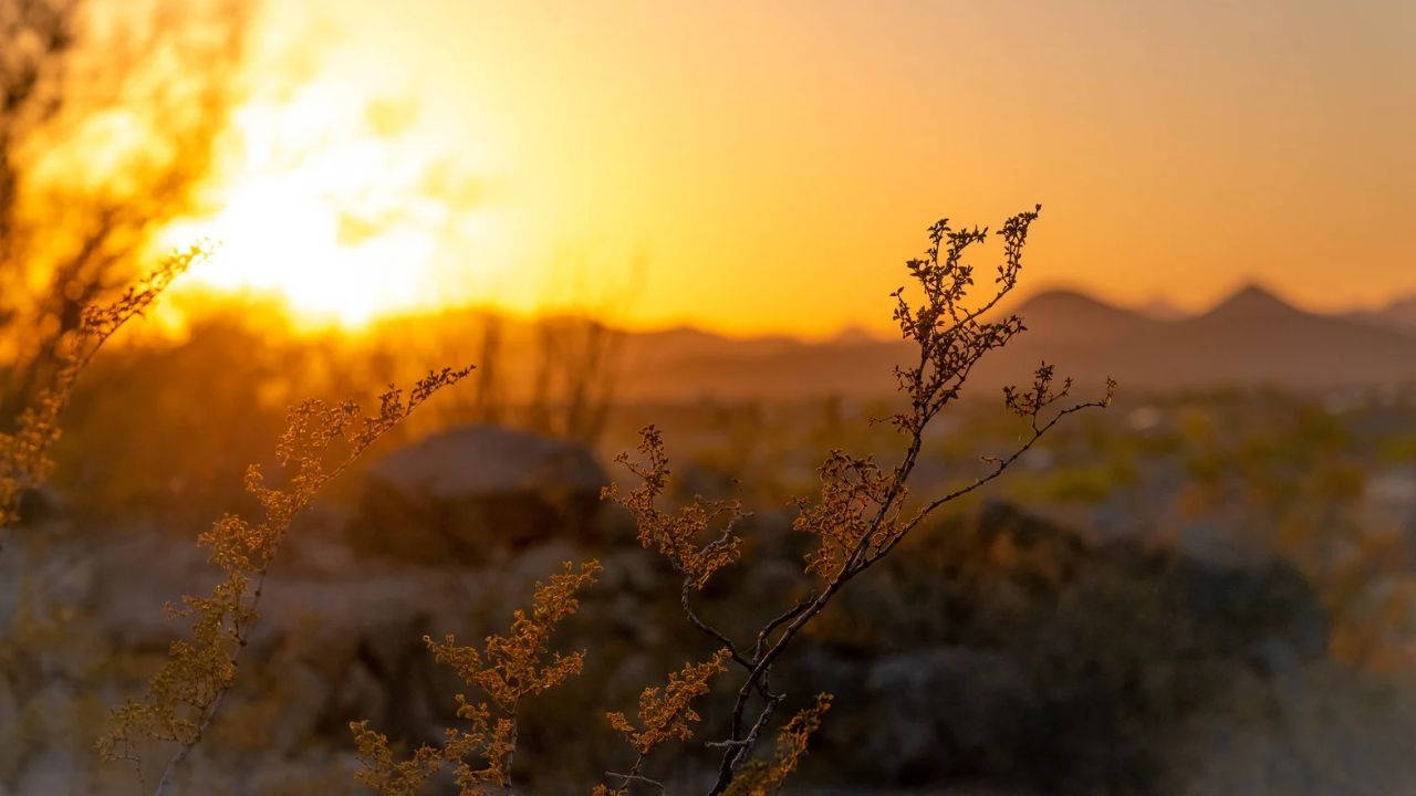 Hadiah Rasullullah Atas Pengabdian Rabi’ah bin Ka’ab