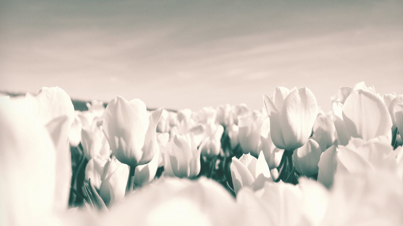 Setiap Manusia Akan Bertemu Izrail Sebelum Wafat, Lantas Bagaimana Izrail Mengetahui Ajal Manusia?