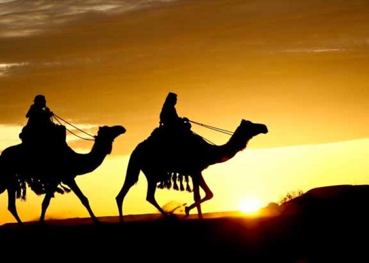 Rela Digigit Kalajengking Demi Rasulullah, Ini lah Bukti Cinta Abu Bakar As-Siddiq Pada Rasulullah