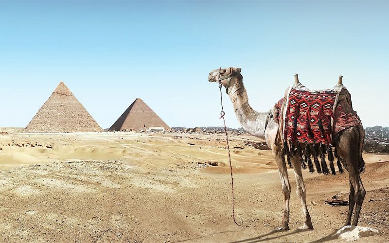 Ketika Kaum Tsamud Diberi Azab karena Membunuh Unta Nabi Saleh