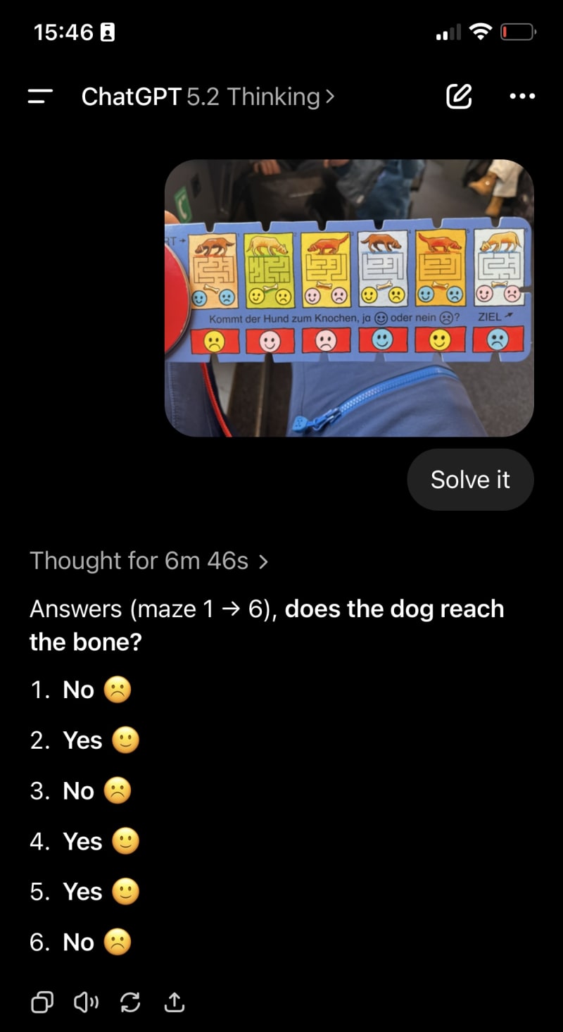 A Bandolino puzzle with a maze asking whether the dog can reach the bone