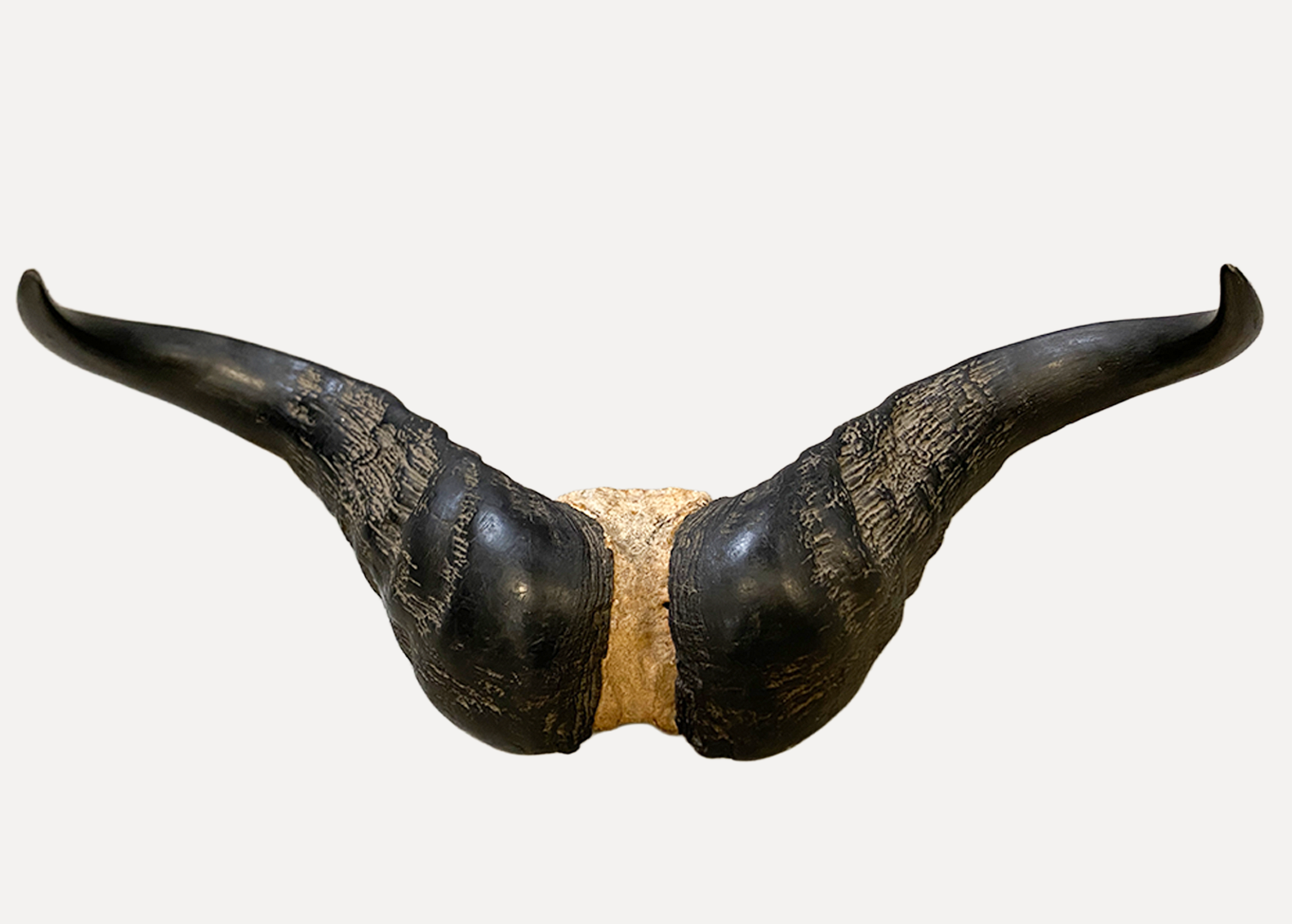 Art/Animals/Multiple/hd4vj0izduhmklqm7jlx