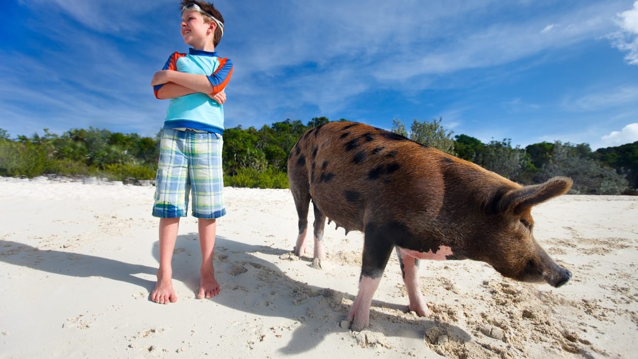 Crociera in catamarano alle Bahamas