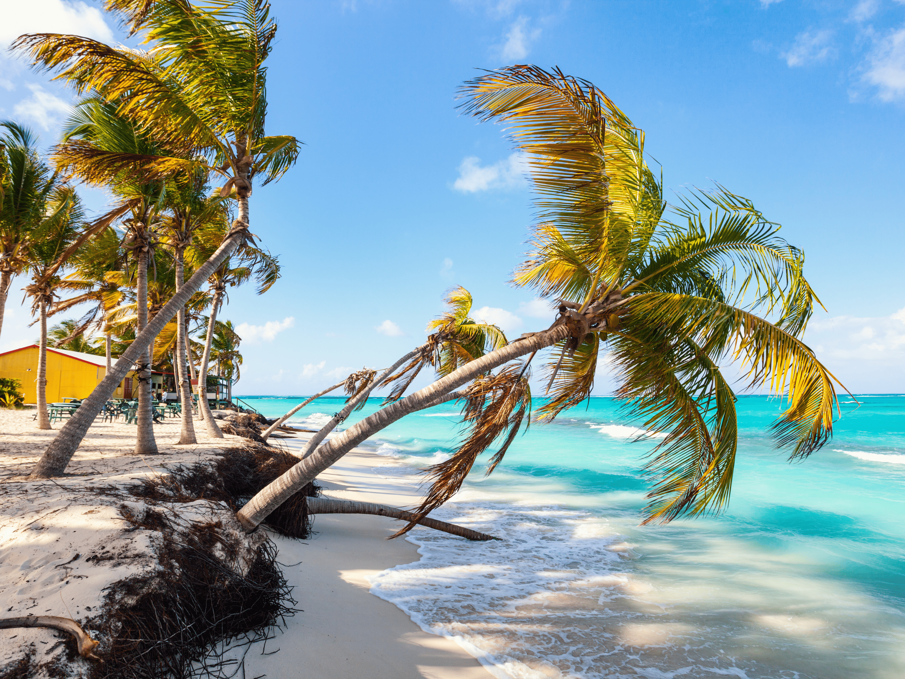 Isole Vergini Britanniche