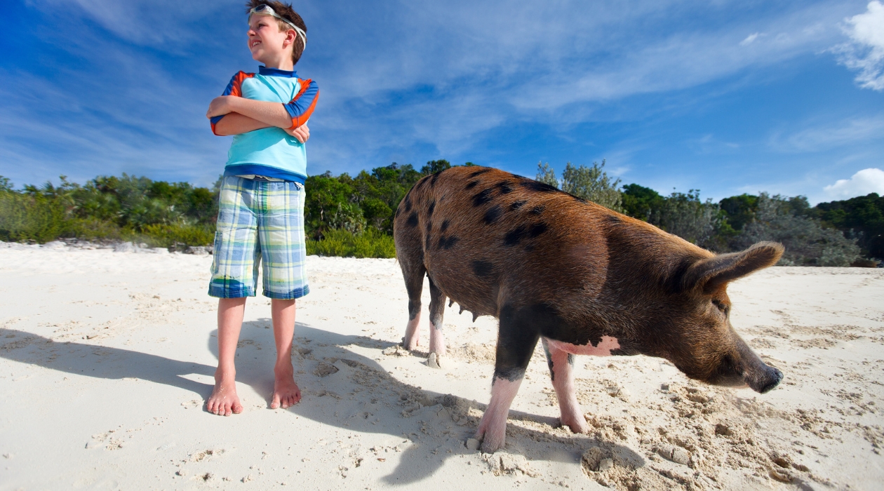 Crociera in catamarano alle Bahamas