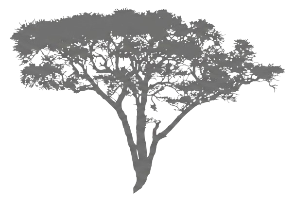 Paraiso Hills Logo