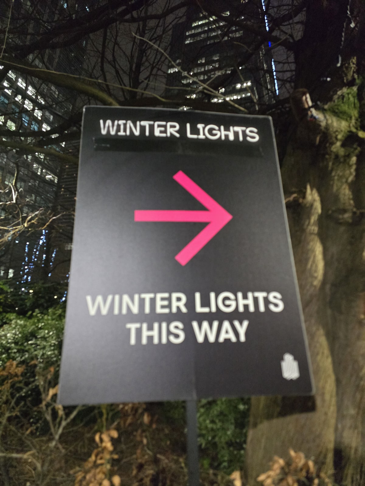 Winter Lights at Canary Wharf London