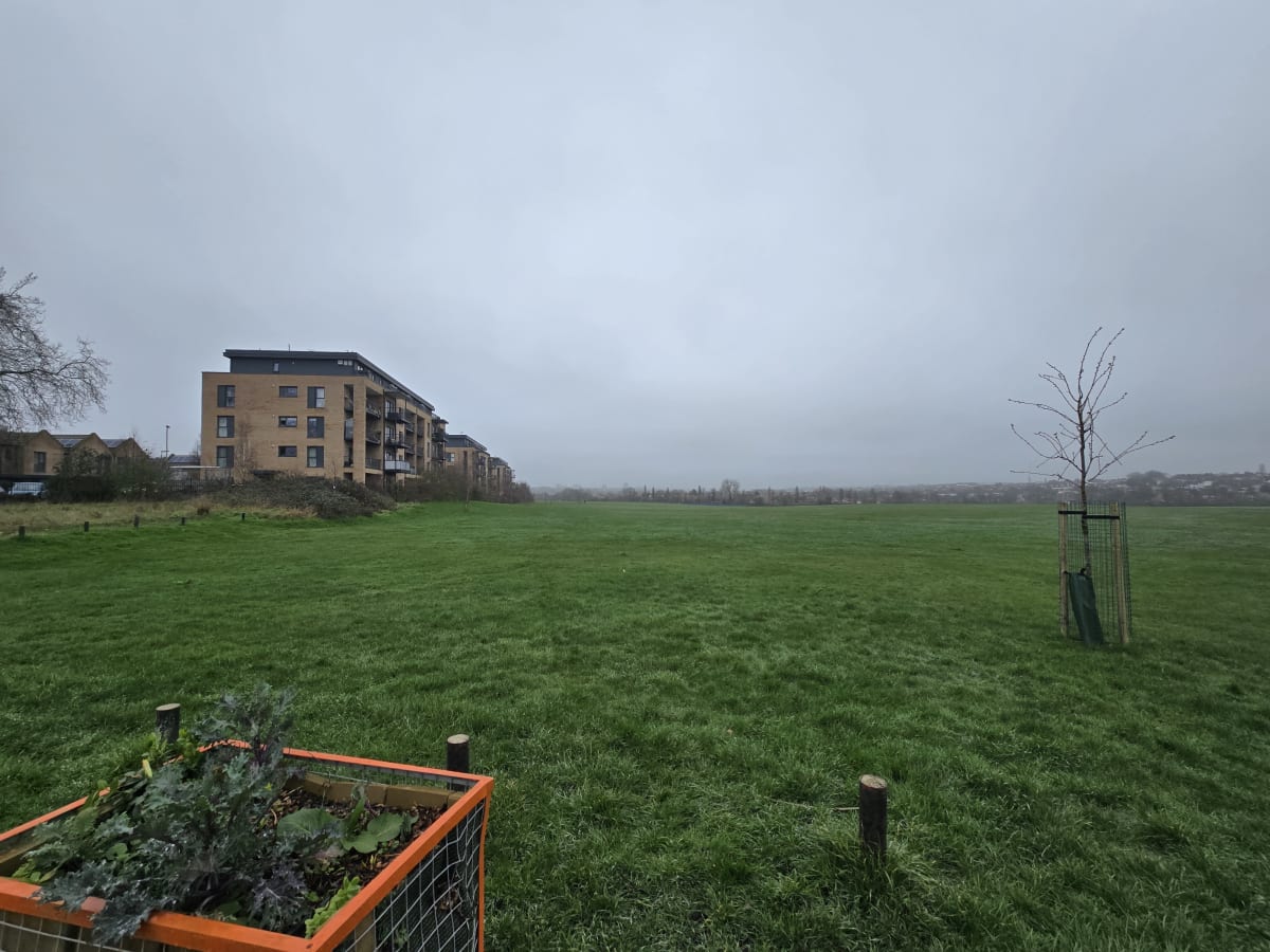 A cloudy and cold day in Hampstead Heath