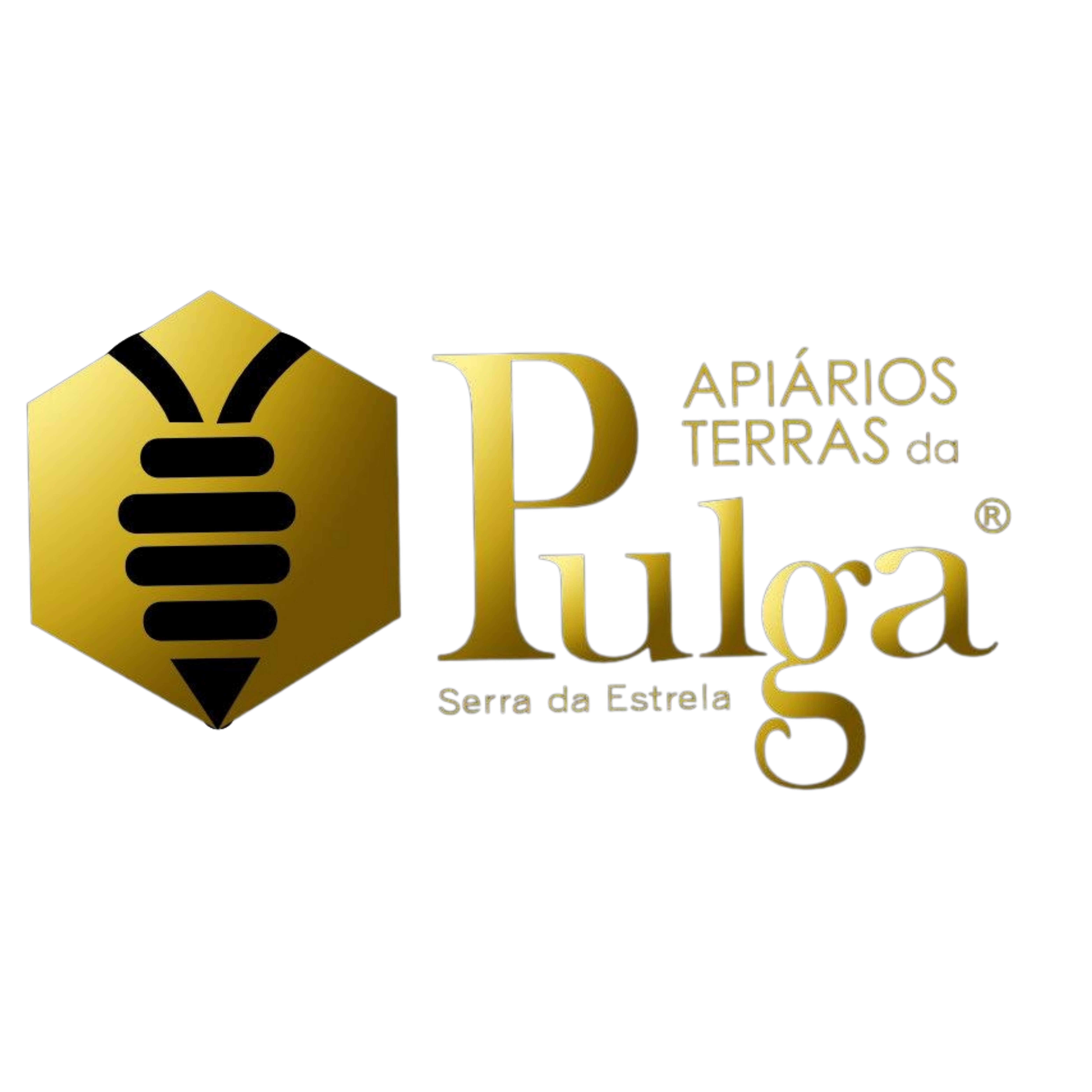 Apiarios Terras da Pulga