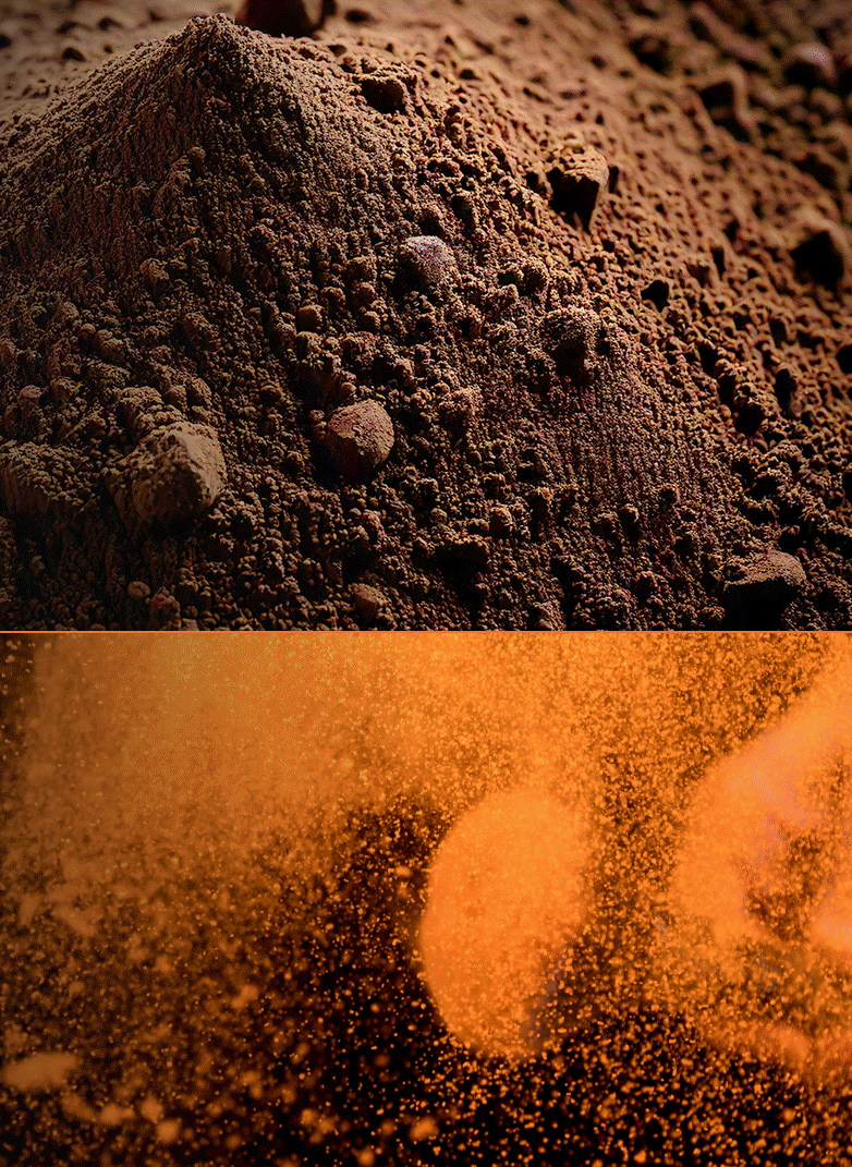 Date Seeds and Fibre