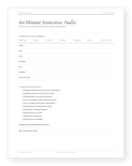 Insurance Audit PDF preview